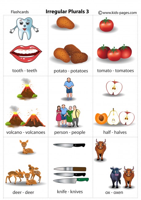 Irregular Plurals 3 flashcard